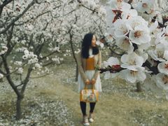 -森林公园(尖草坪区)