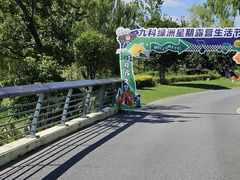 -九科绿洲