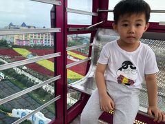-百万葵园