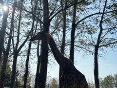 -大连森林动物园