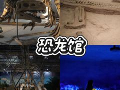 -中国西峡恐龙遗迹园