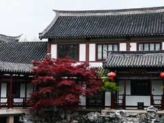 -得意楼蒸菜馆