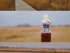 -野鸭湖国家湿地公园