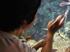 -太平洋海底世界