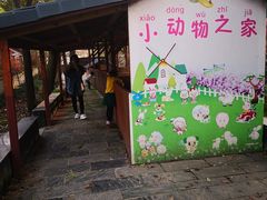 -南汇桃花村