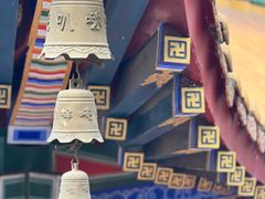 -东莞市大岭山森林公园