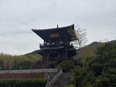 -大唐贡茶院