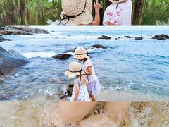 -广东惠东海龟国家级自然保护区