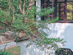 -深圳国际园林花卉博览园