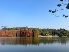 -星湖旅游景区七星岩