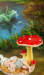 -挚纯baby儿童摄影(庐阳区店)