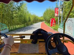 -上海长兴岛郊野公园