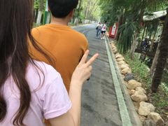 -合肥滨湖国家森林公园