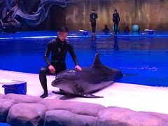 -华夏文旅海洋公园