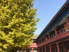 -北京石刻艺术博物馆(五塔寺)