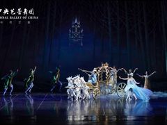 -中央芭蕾舞团·中芭艺蕾(酒仙桥明星校区)