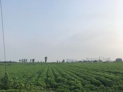-东戴河风景区-止锚湾