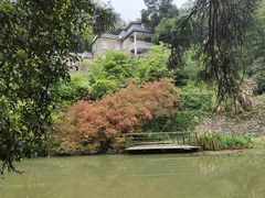 -莫干山风景区