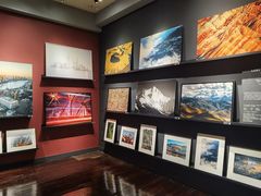 -花马天堂云南餐厅 Lost Heaven(外滩店)