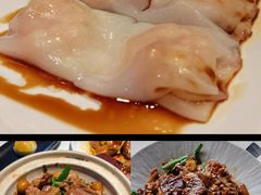 -侨美·唐荔园·40年地道粤菜