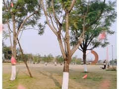 -桂溪生态公园