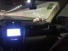 -胶州湾海底隧道