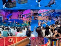 -烟台海昌鲸鲨海洋公园