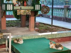 -ခြောက်ထပ်ကြီးရွှေသာလျောင်းဘုရားကြီး