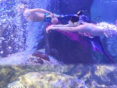 -太平洋海底世界