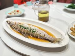 -松沪名灶·豆浆鱼头·新上海菜(江川路交大店)