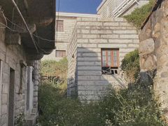 -崇武古城风景区