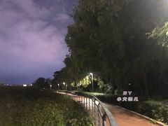 -南湖大桥