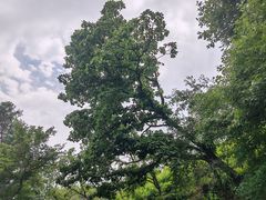 -萨尔浒风景区