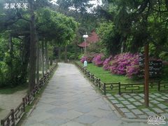 -庐山风景区花径公园