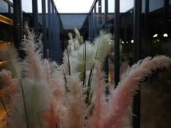 -拈菜(观音桥阳光世纪店)