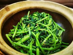 -熠盛粤味·顺德桑拿鸡(永康路店)