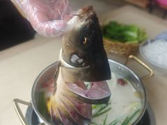 -大理老字号·舟渔的鱼野生菌海景餐厅(双廊店)