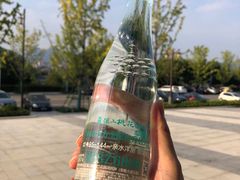 -溪口-滕头旅游景区