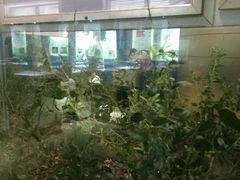 -上海昆虫博物馆