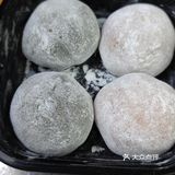 觅食家
