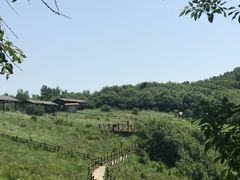 -野三坡百草畔景区