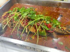 -新珠城鱼坊(龙湖店)