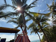 -三亚海棠湾万丽度假酒店