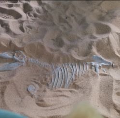 -恐龙探索乐园(磁器口店)