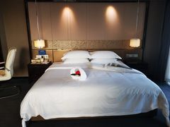 -天艺东环酒店(海口高铁东站龙湖天街店)