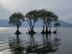 -大理洱海