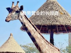-南昌动物园