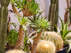 -J Create城市露营咖啡·简餐·宠物(上海动物园店)