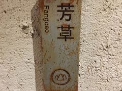 -看见远方·莫干遥远的山民宿