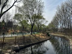 -燕郊植物园
